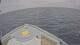 Norwegian Joy 30.04.2025 15:27