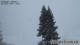 Klosters-Serneus 21.12.2024 15:28