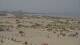 Dunkirk 30.04.2025 15:28