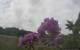 Montbliart 09.06.2025 15:28