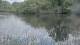 Les Landes-Genusson 08.05.2025 15:28
