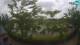 Sisak 12.05.2025 15:28