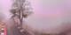 Lourdes 15.06.2025 15:28