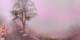 Lourdes 02.07.2025 15:28