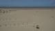 Dunkerque 15.06.2025 15:28