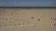 Dunkirk 10.05.2025 15:28