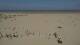 Dunkerque 14.06.2025 15:28
