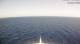 AIDAcosma 08.06.2025 15:28