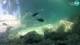 Brijuni 15.06.2025 15:28