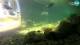 Brijuni 08.07.2025 15:28