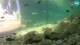 Brijuni 09.06.2025 15:28