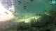 Brijuni 08.05.2025 15:29