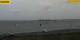 Gold auf Fehmarn 16.07.2025 15:32