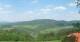 Zierling 29.04.2025 15:30