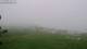 Sainte-Marguerite-sur-Mer 29.04.2025 15:14