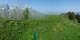Braunwald 09.06.2025 15:24