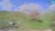 Kobarid 29.04.2025 15:30