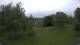 Steinbrunn 18.04.2025 15:31