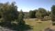 Steinbrunn 14.06.2025 15:30