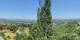 Kitzeck im Sausal 12.06.2025 15:30