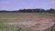 Les Landes-Genusson 01.06.2025 15:31