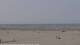 Nes (Ameland) 08.06.2025 15:31