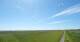 Westerhever 20.06.2025 15:31