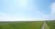 Westerhever 14.06.2025 15:31