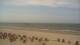 Norderney 15.06.2025 15:32
