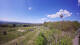 Schotten 30.04.2025 15:32