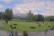 Kitzbuhel 10.07.2025 15:32