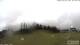 Burnt Pine (Norfolk Island) 01.07.2025 15:32