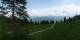 Luchsingen 15.06.2025 15:31