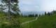 Luchsingen 08.06.2025 15:31