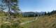 Luchsingen 29.04.2025 15:31