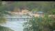 Les Anses-d'Arlet 30.04.2025 15:37