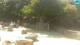 Zagreb 15.06.2025 15:32