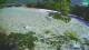 Bovec 15.06.2025 15:32