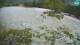 Bovec 11.07.2025 15:32