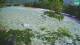 Bovec 08.06.2025 15:33