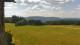 Dobel 10.07.2025 15:33