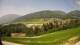 Perca 08.06.2025 15:33