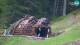 Kranjska Gora 24.04.2025 15:34