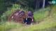 Kranjska Gora 03.07.2025 15:33