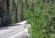 Ironton, Colorado 14.06.2025 15:36