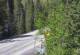 Ironton, Colorado 08.06.2025 15:36
