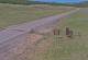 Creede, Colorado 14.06.2025 15:36