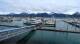 Seward, Alaska 14.06.2025 15:00