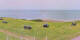 Donville-les-Bains 01.05.2025 15:11