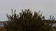 Kiel 05.05.2026 15:35